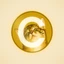 CATE Token
